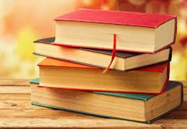 Courses Offered - Government Rajmata Vijya Raje Singhiya Girls College, Kavardha,Kabirdham
